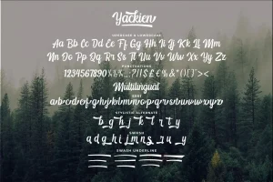 Yackien Font