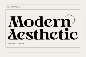 Modern Aesthetic Font