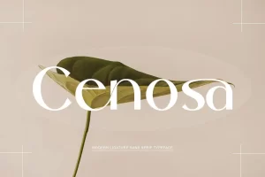 Cenosa Font