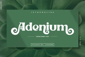 Adenium Font Free Download