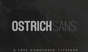 Ostrich Sans Font Free Download
