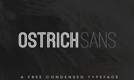 Ostrich Sans Font Free Download