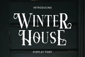 Winter House Font Free Download